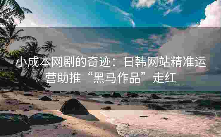 小成本网剧的奇迹：日韩网站精准运营助推“黑马作品”走红