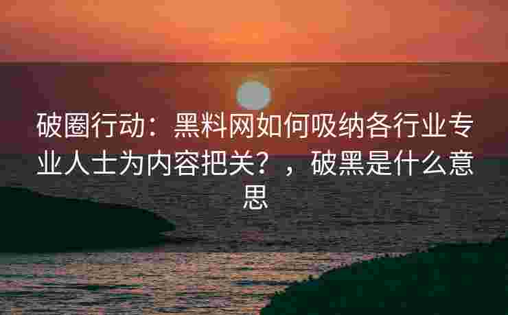 破圈行动：黑料网如何吸纳各行业专业人士为内容把关？，破黑是什么意思