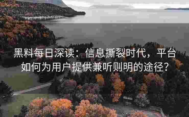 黑料每日深读：信息撕裂时代，平台如何为用户提供兼听则明的途径？