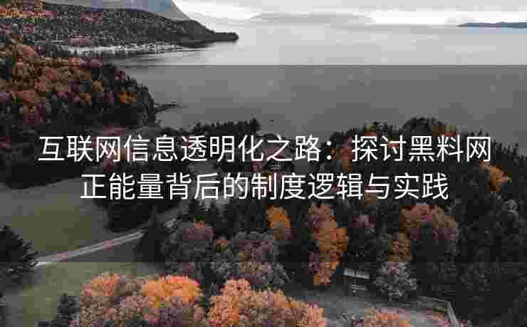 互联网信息透明化之路：探讨黑料网正能量背后的制度逻辑与实践